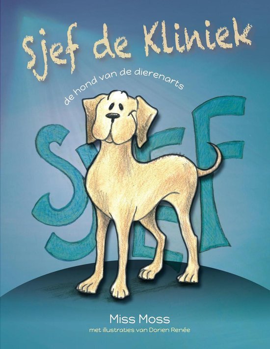 Sjef de Kliniek cover